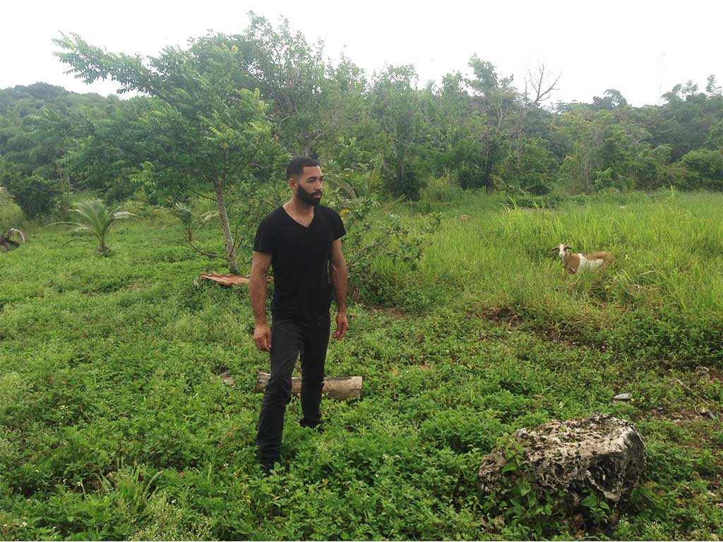 Solo travel with a goat and insurance in Jamaica