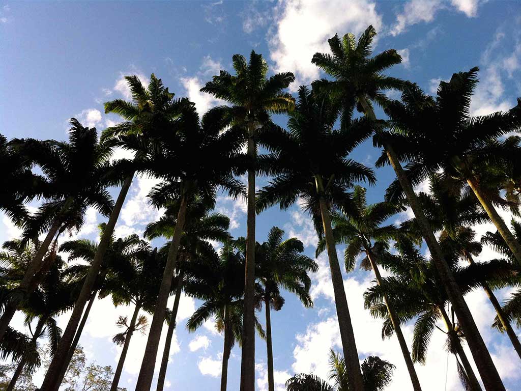 where to stay in rio brazil