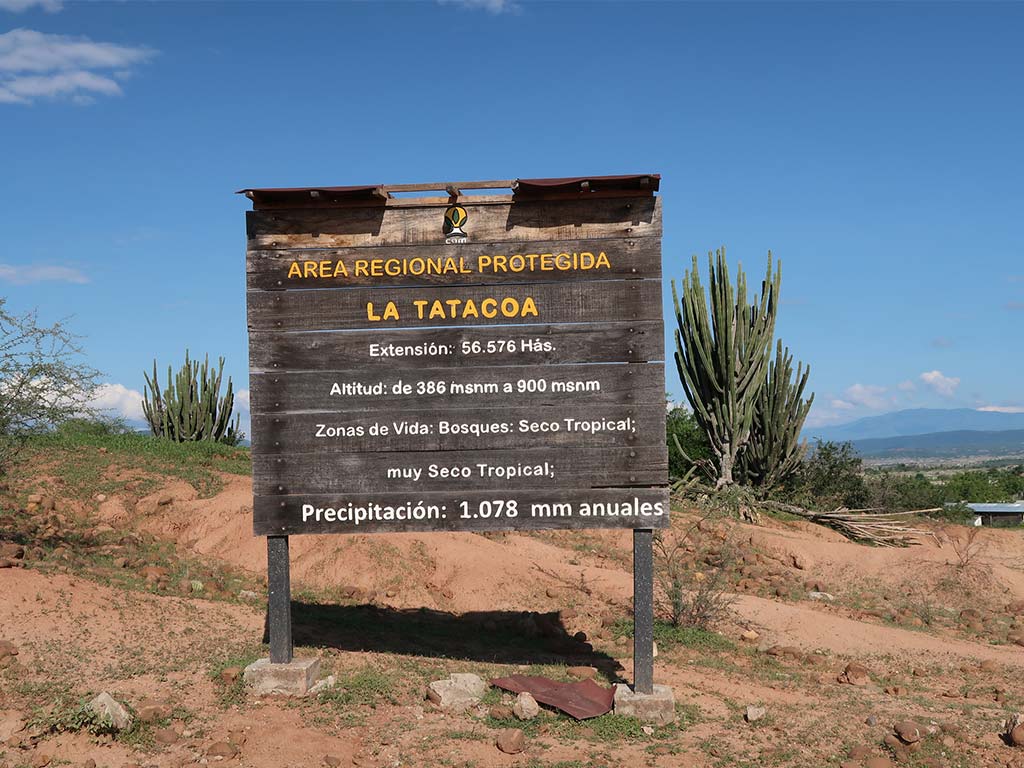 desierto de la tatacoa