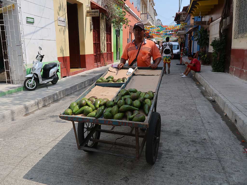 what to do in cartagena