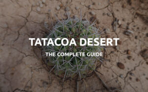 desierto de la tatacoa