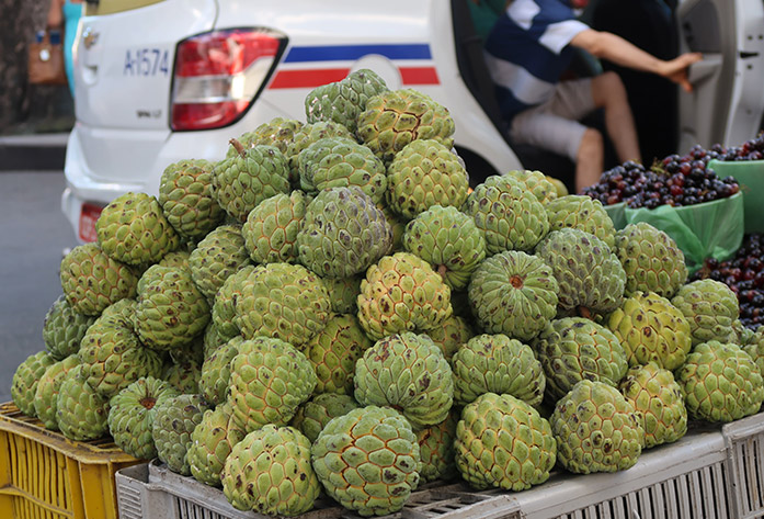 brazilian fruits