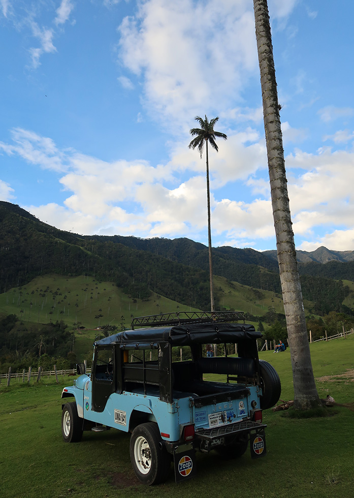 cocora valley tour colombia
