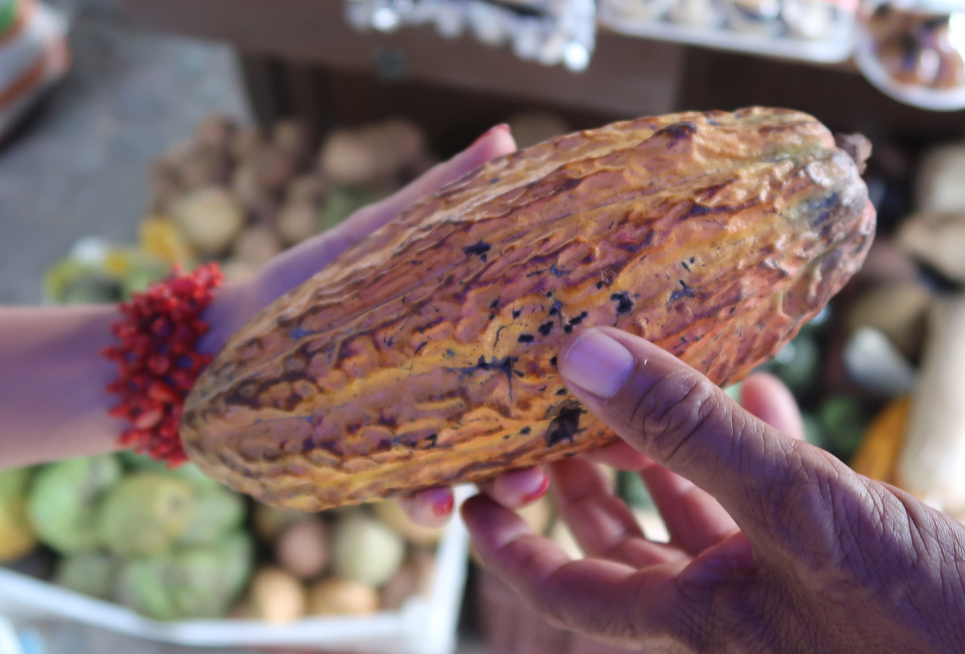 colombian fruits cacao