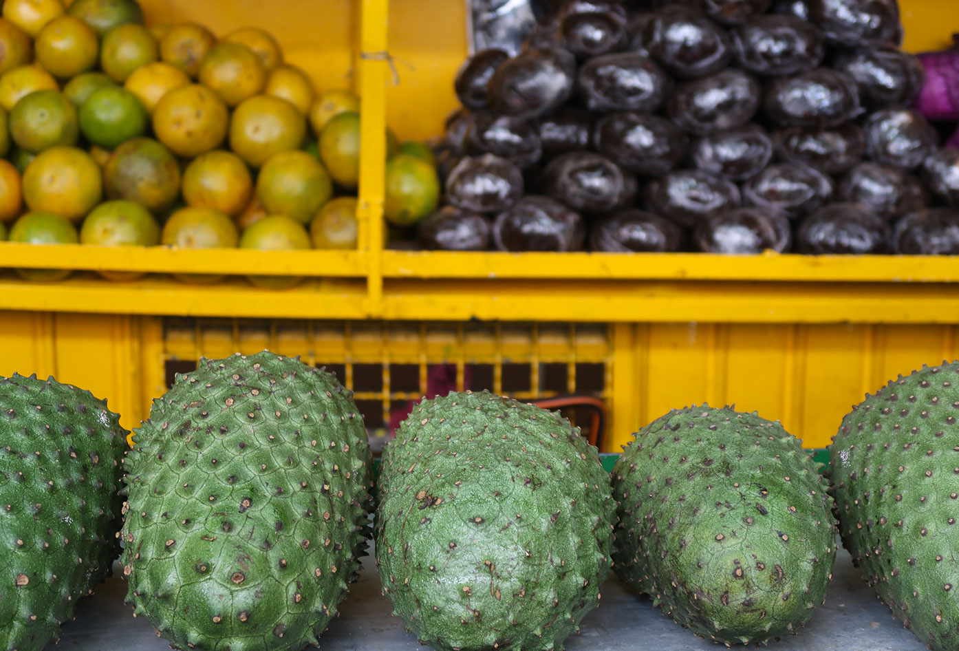 colombian fruits guanabana