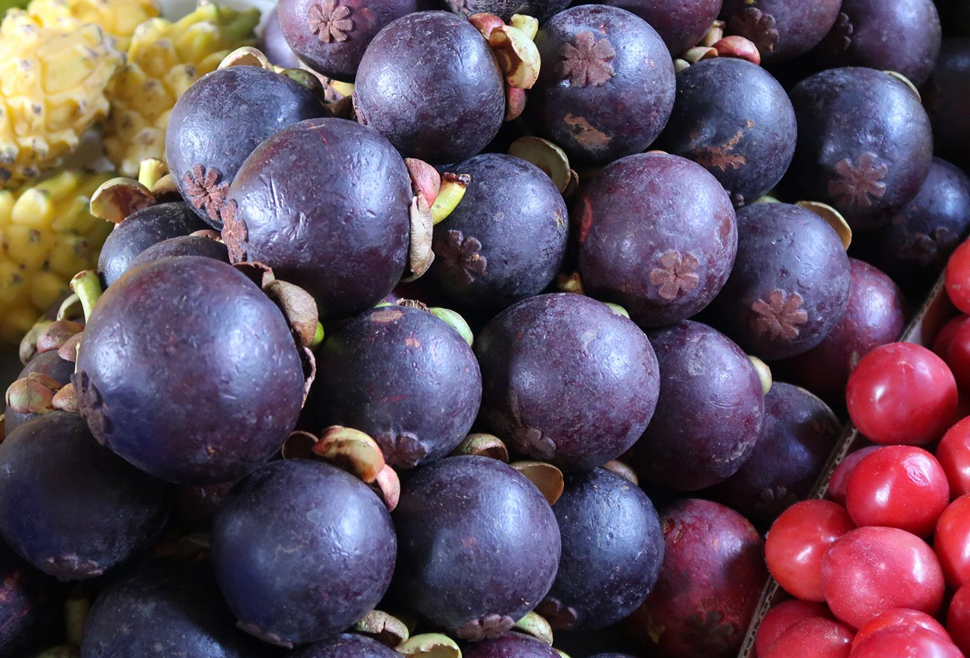 colombian fruits mangostan