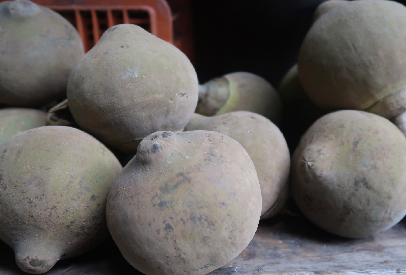 colombian fruits zapote