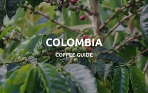 colombia coffee region