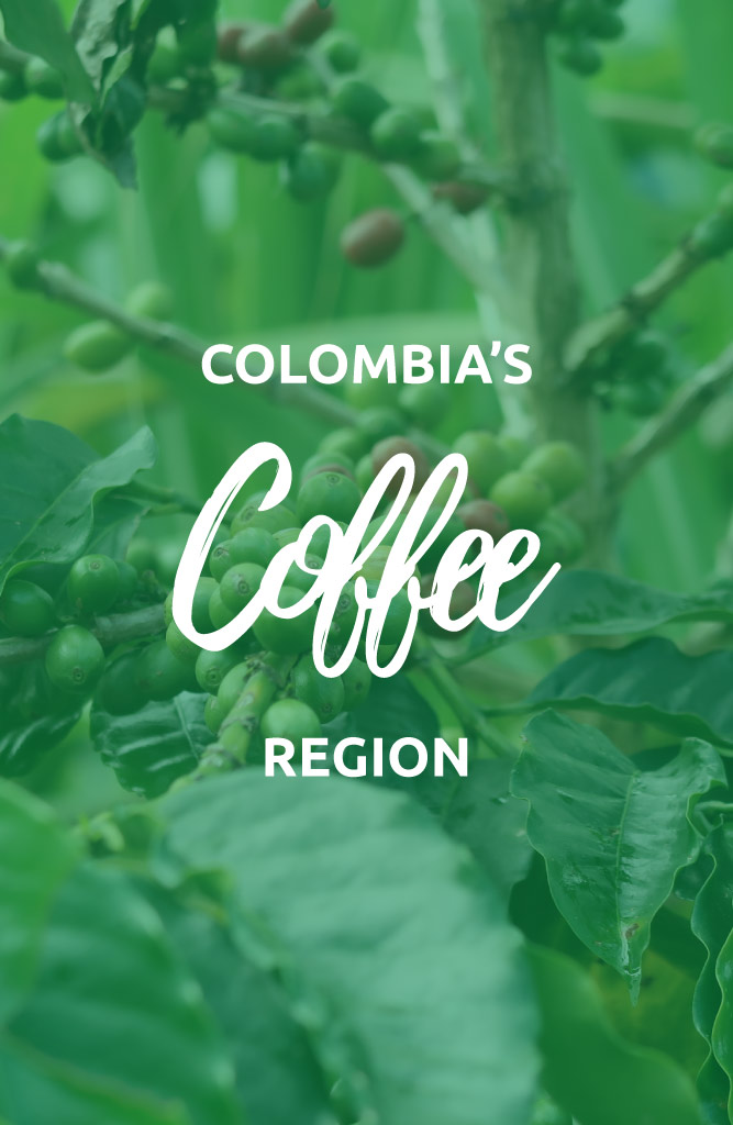 colombia coffee region