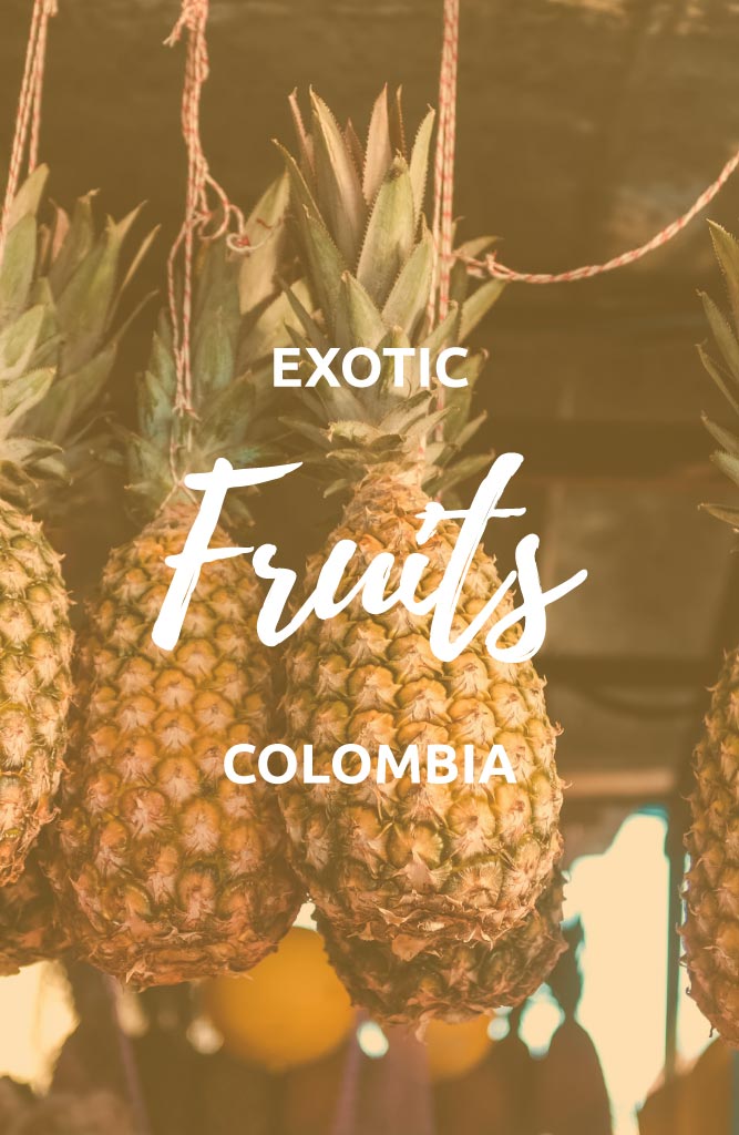 exotic colombian fruits
