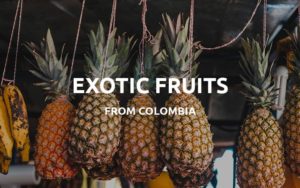 exotic fruits from colombia