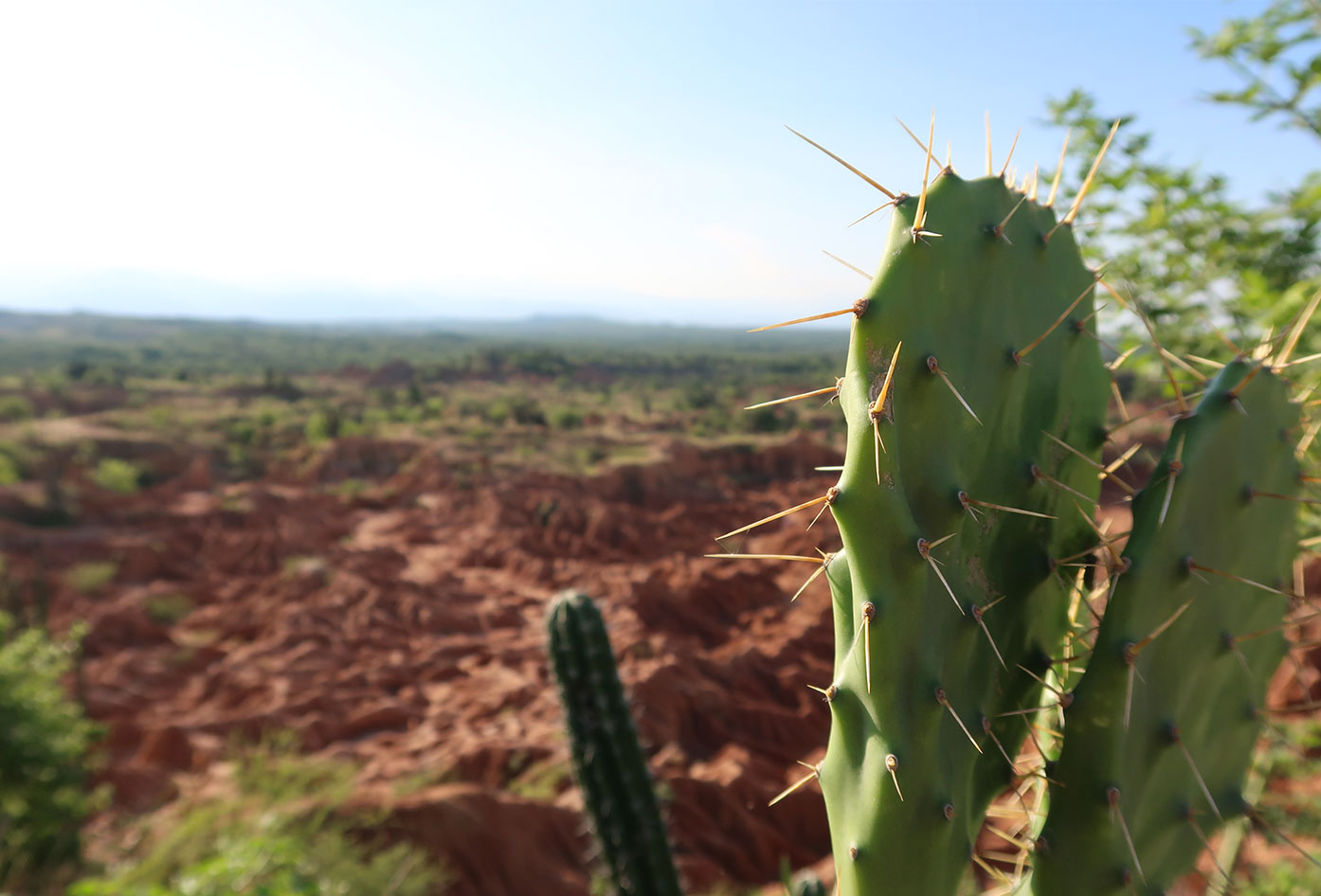 tatacoa desert colombia