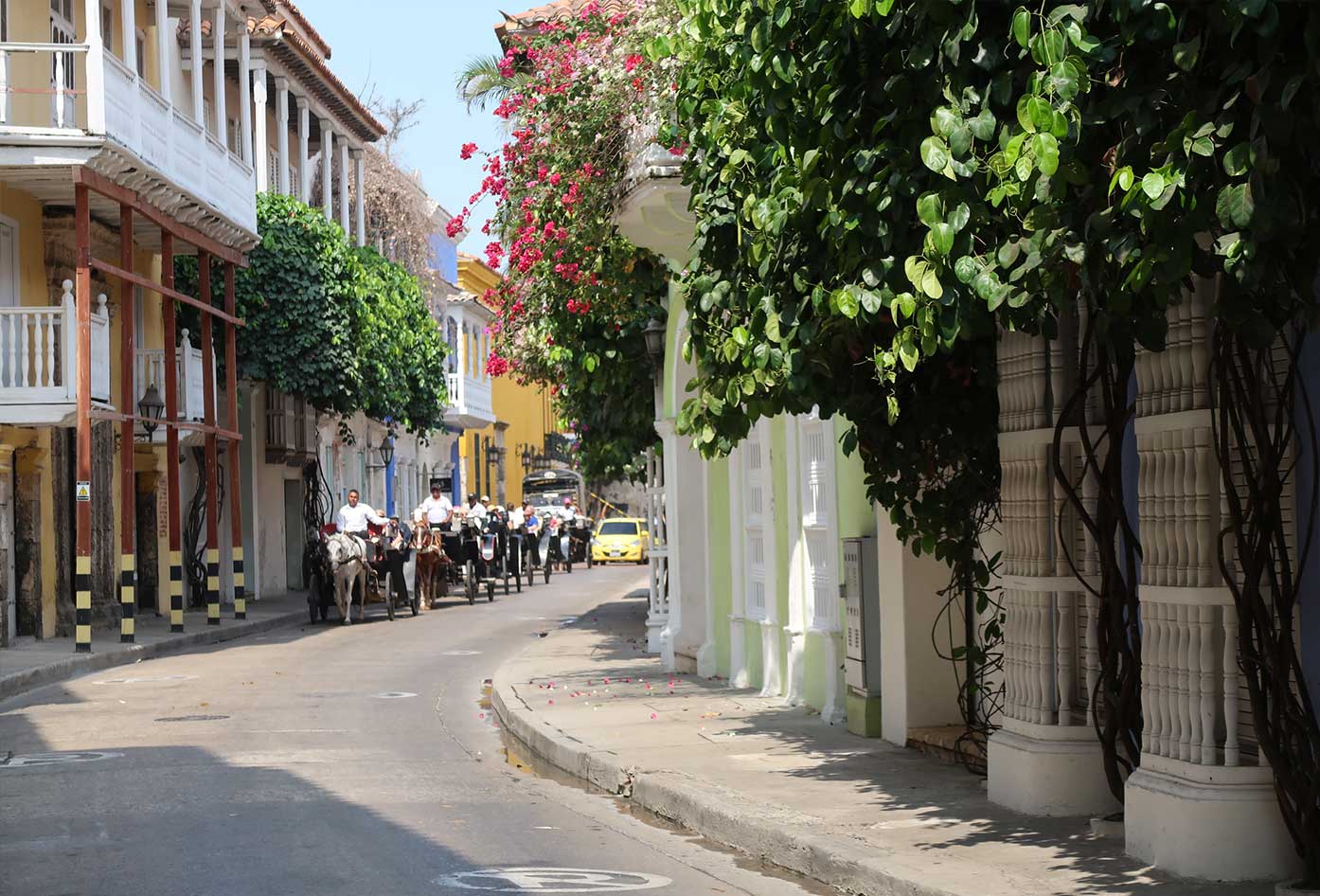 cartagena walled city