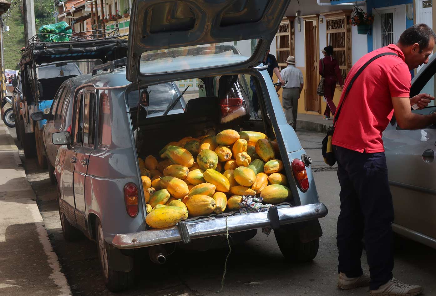 colombia fruits papaya