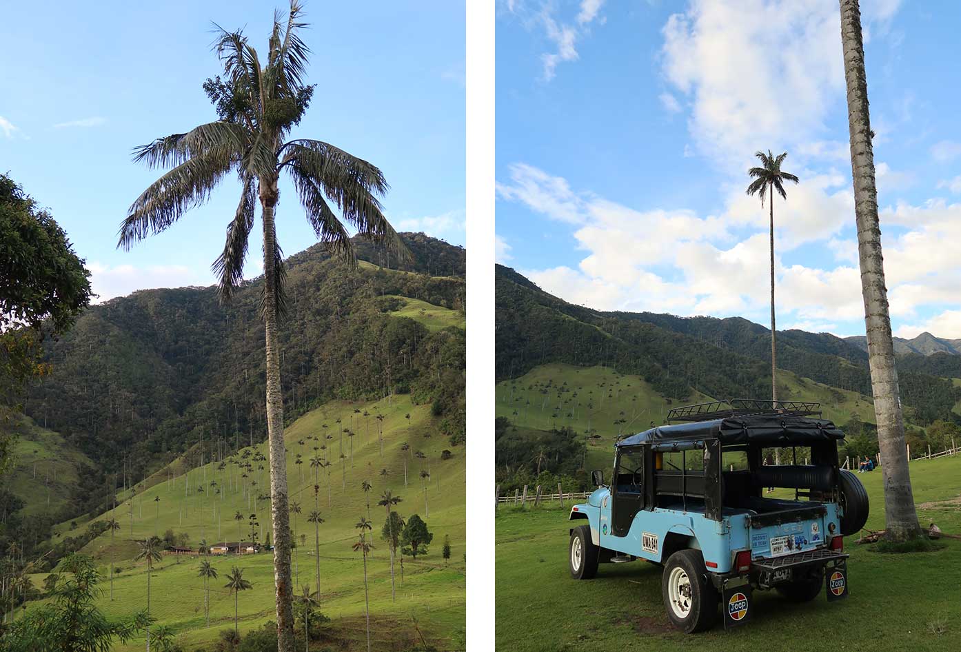 cocora valley colombia