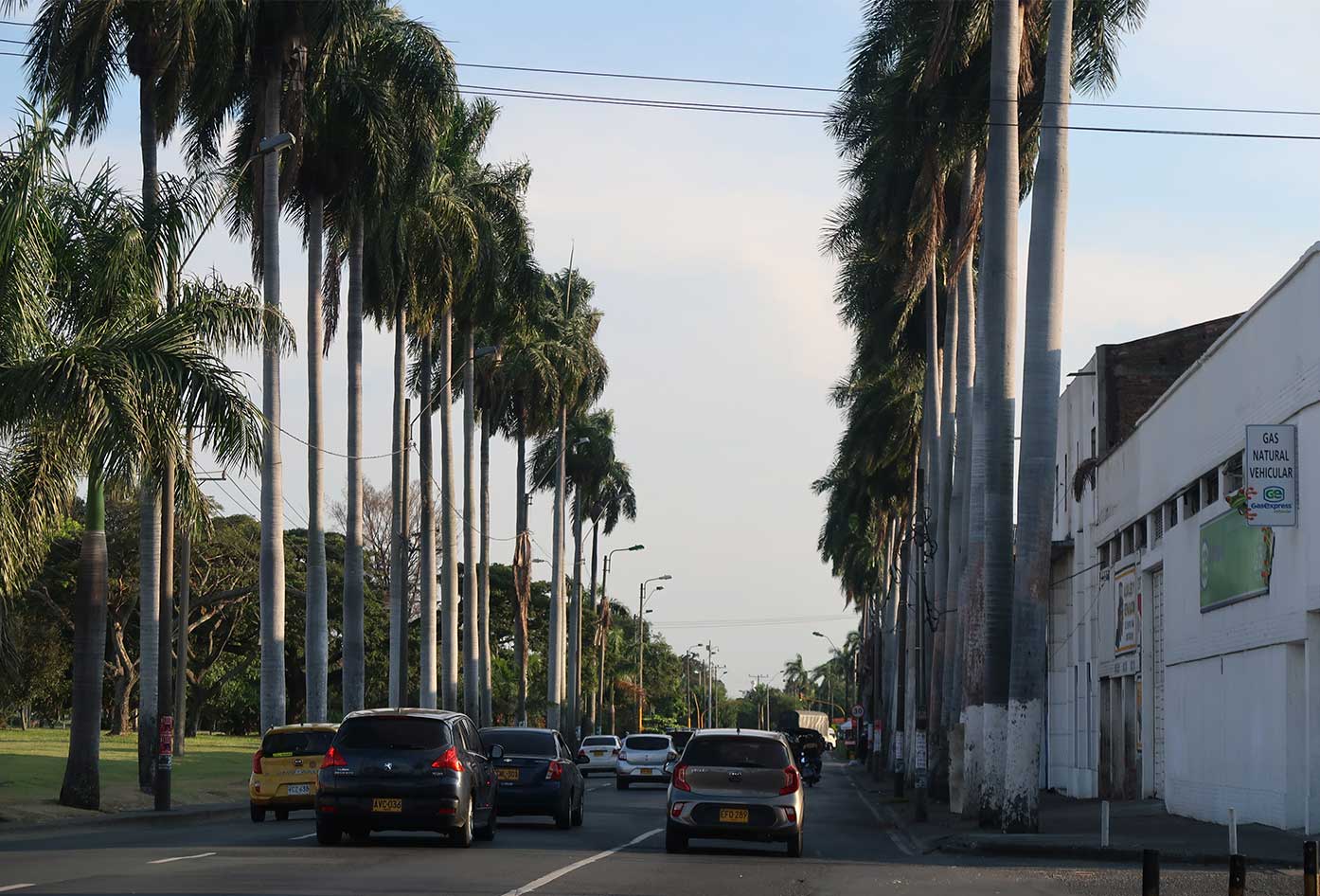 cali colombia