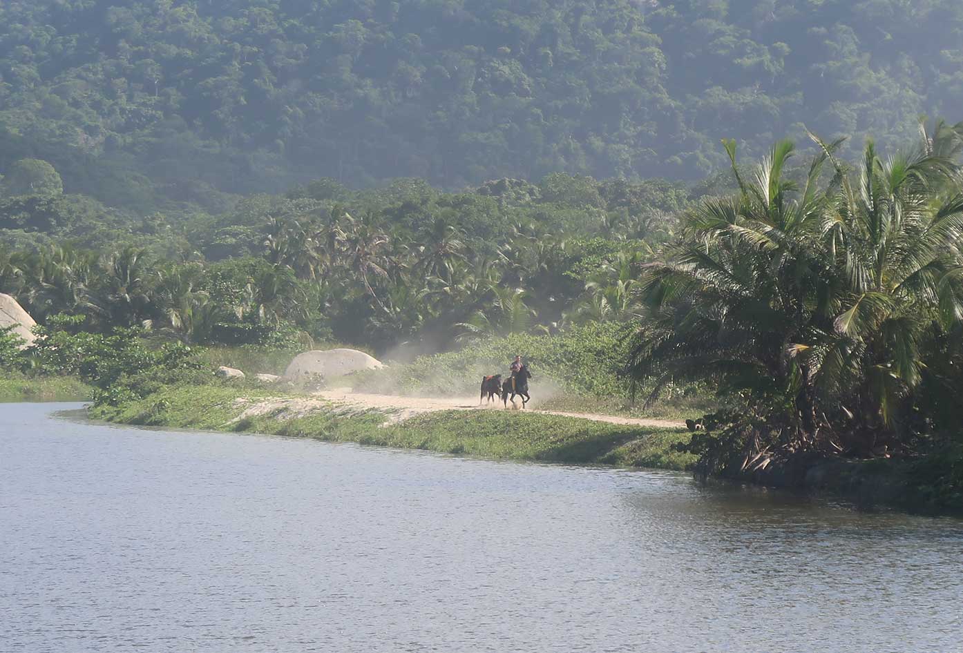 tayrona national park 