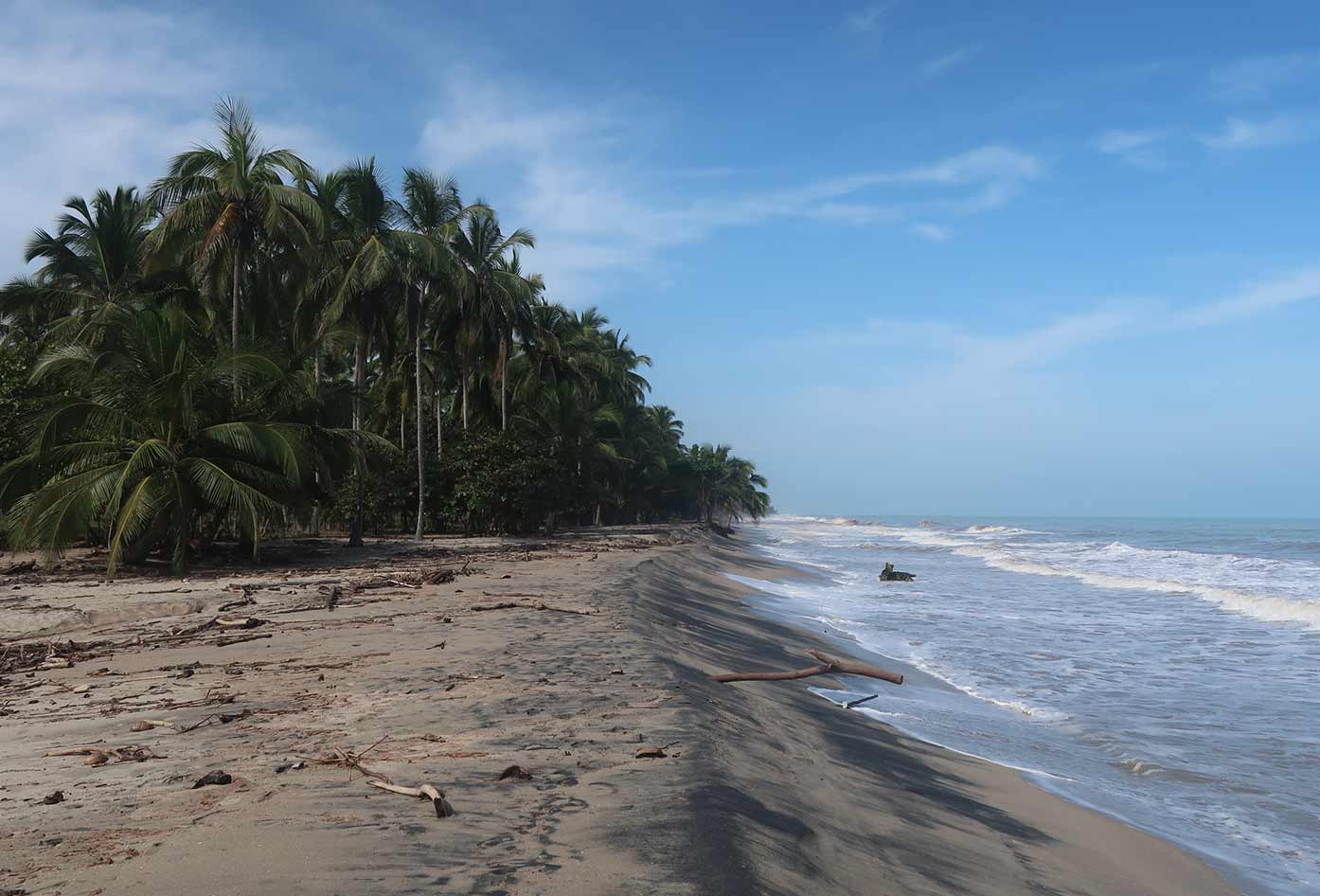 palomino beach colombia