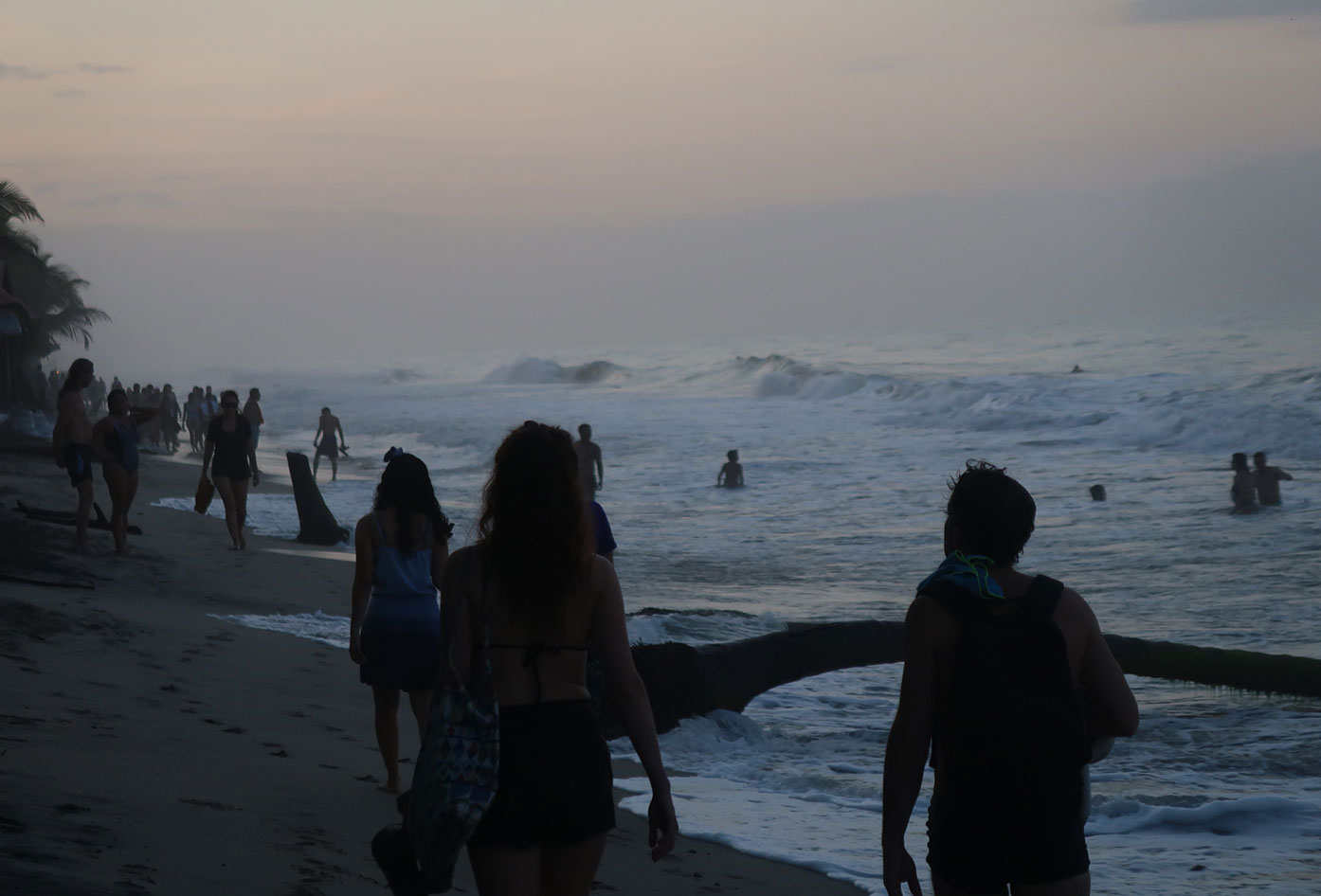 palomino beach