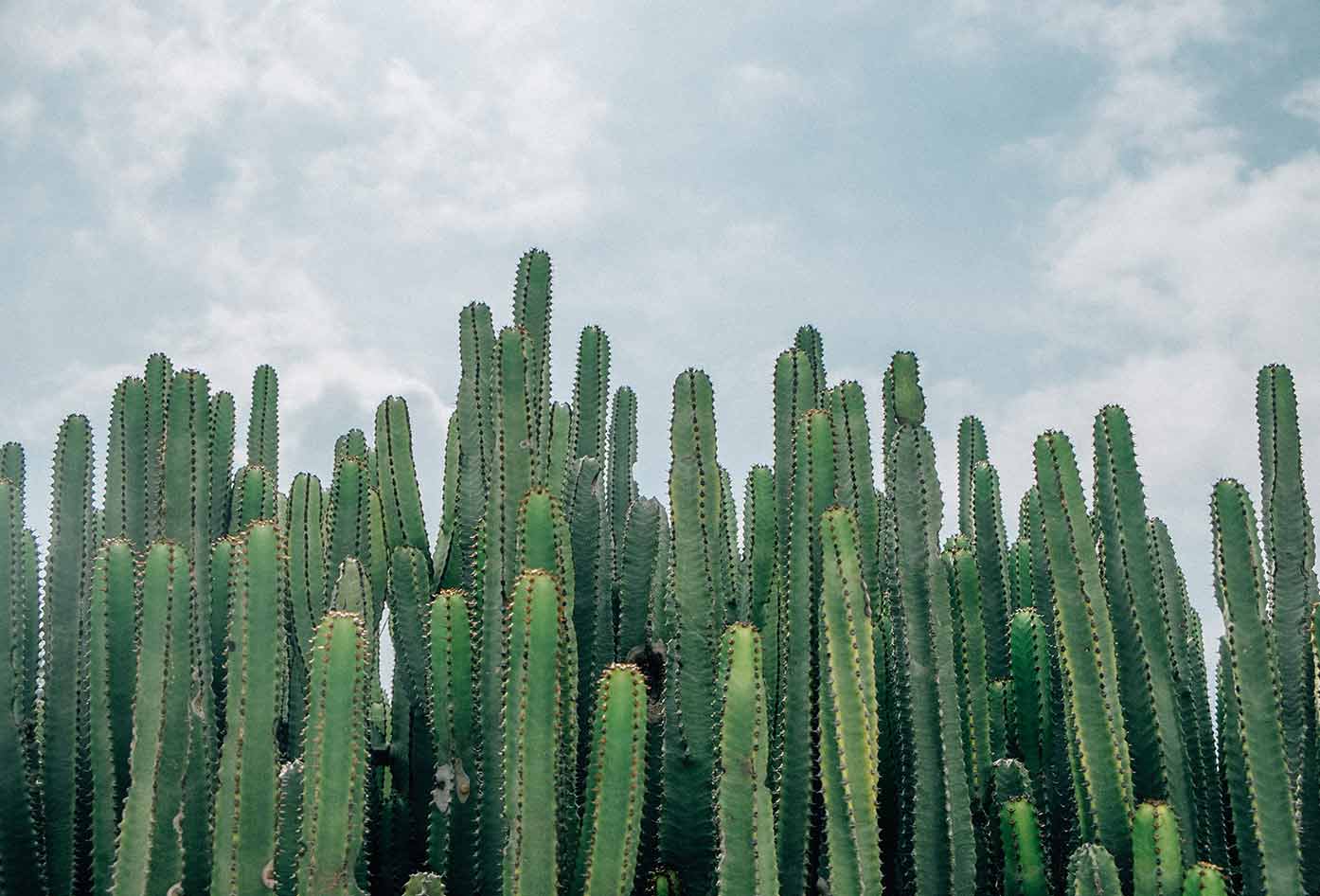 what to wear in the desert