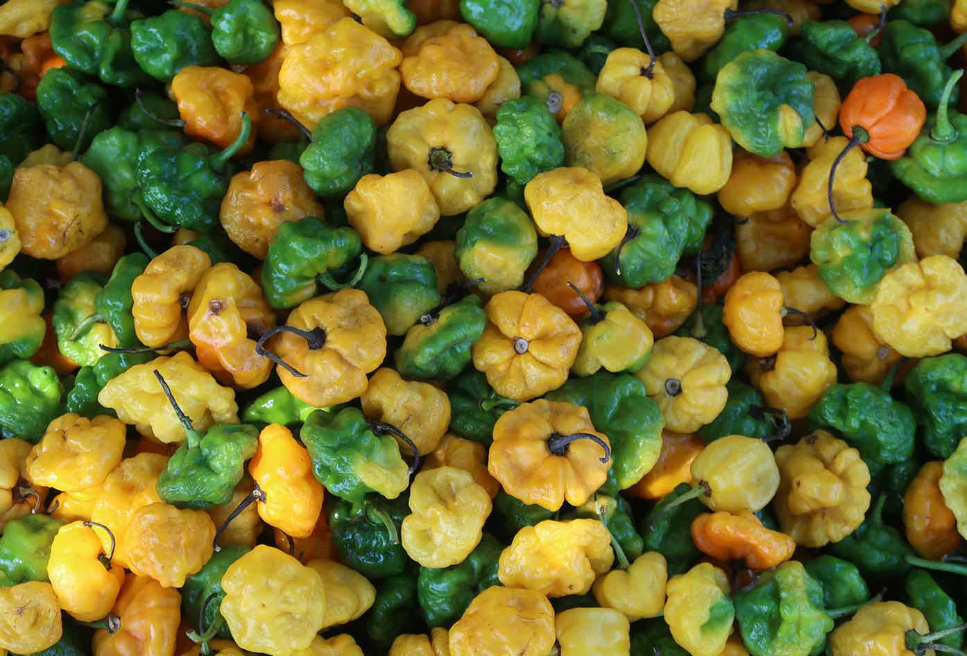 scotch bonnet peppers