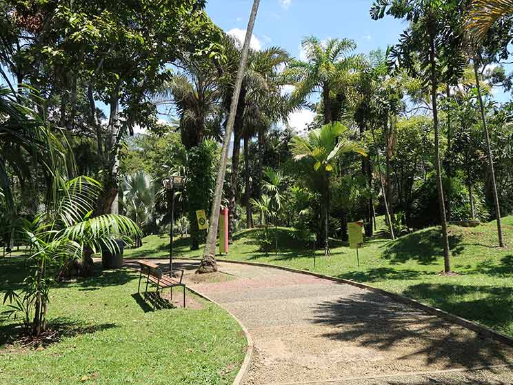 botanical gardens