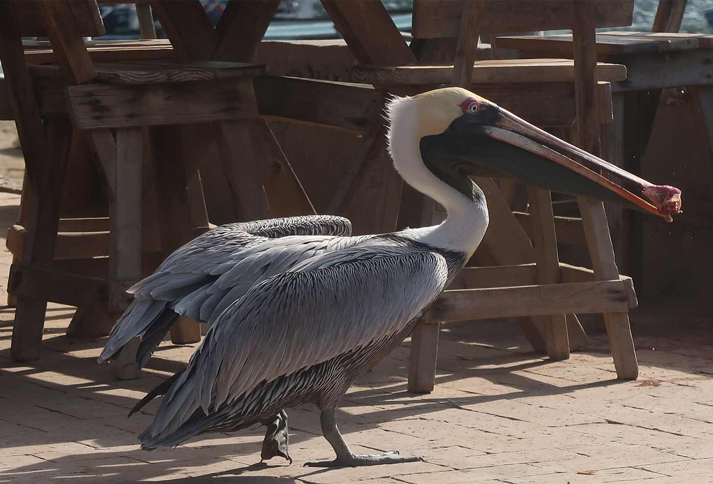 taganga colombia guide