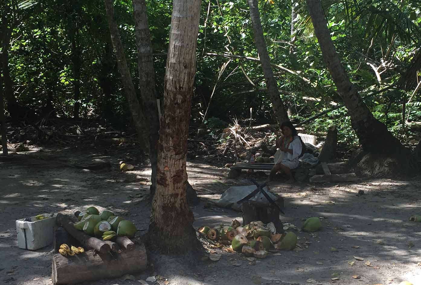 tayrona park colombia