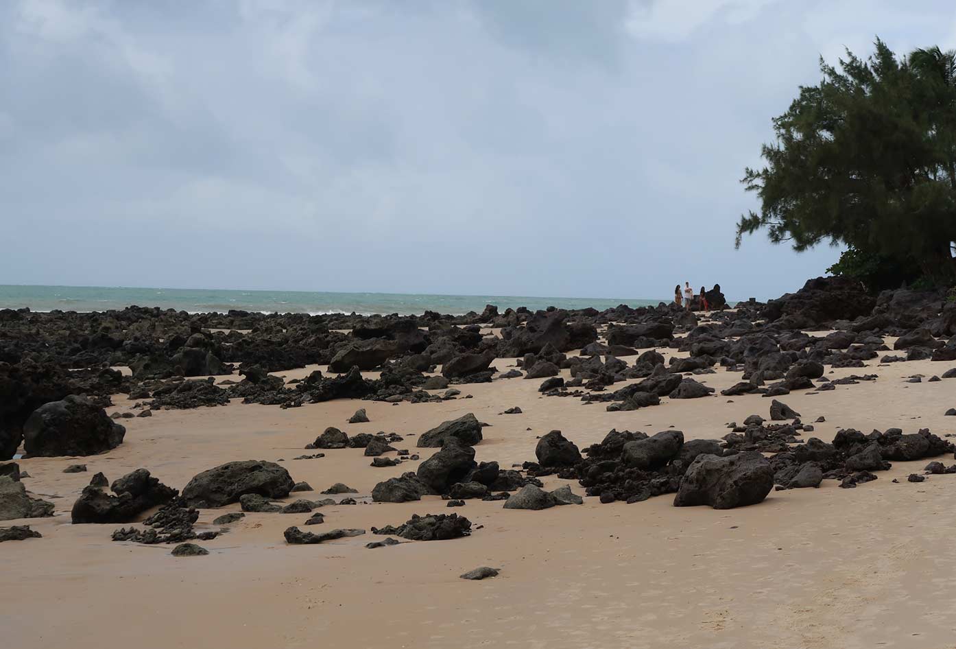 pipa beach brazil