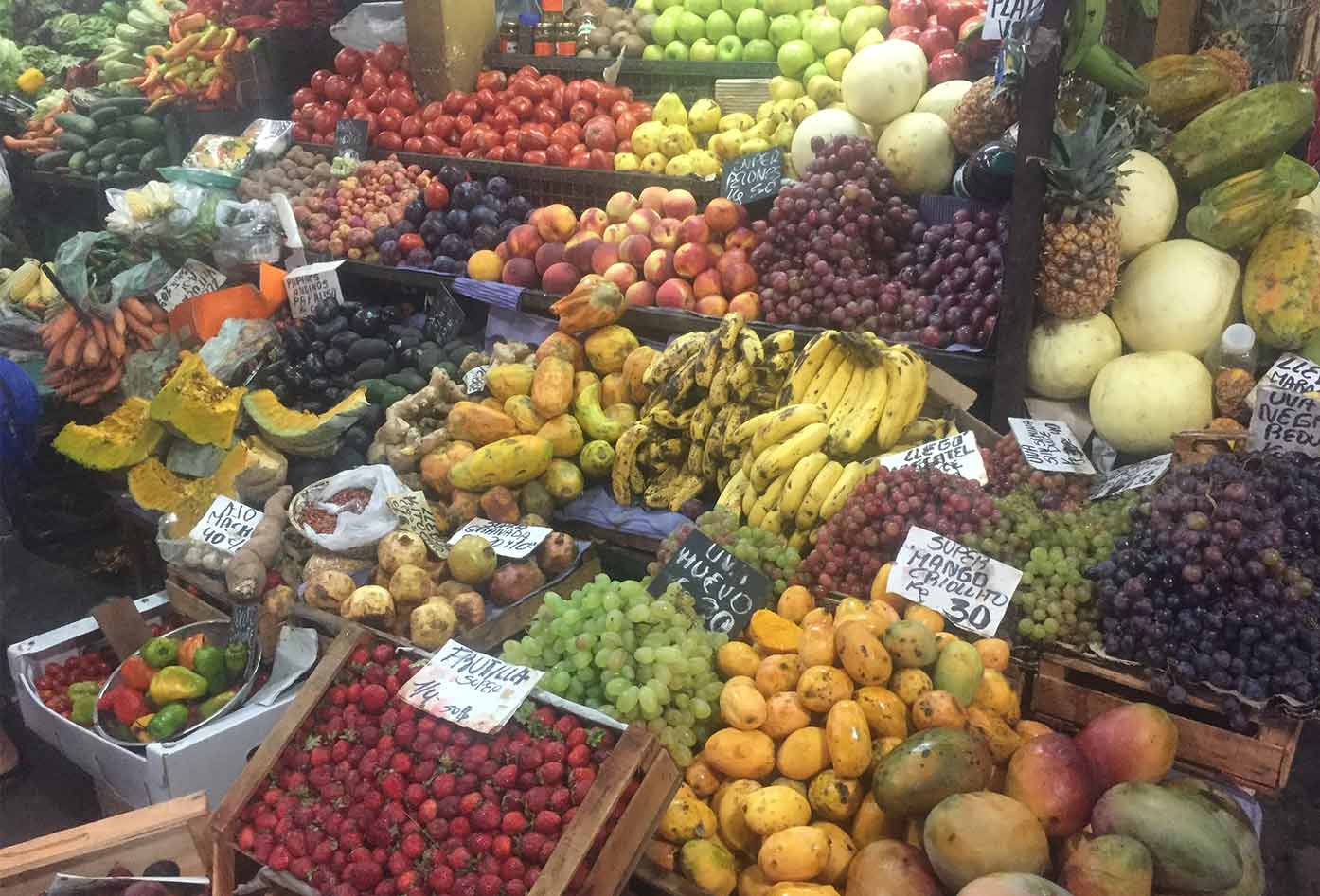 salta argentina