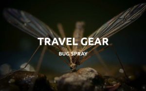 travel bug featured