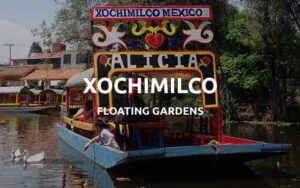 xochimilco floating gardens
