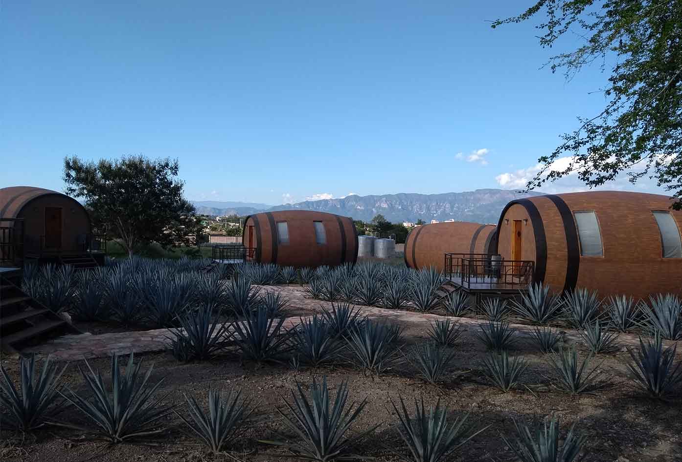 matices de barricas hotel tequila