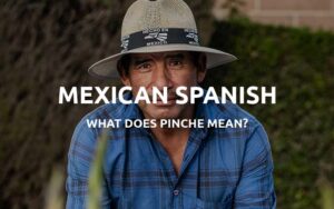 what does pinche mean
