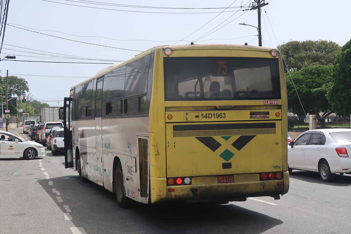 bus kingston jamaica safety