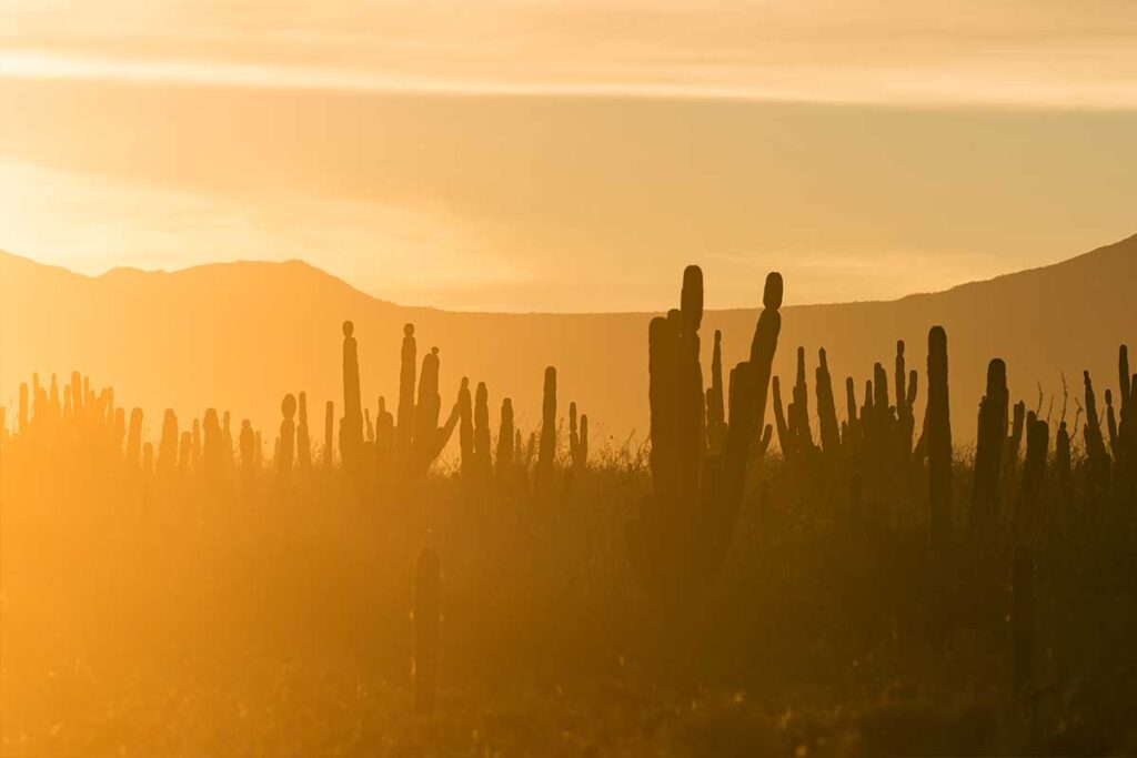 Is La Paz, Mexico Safe? 2024 Travel Safety Guide