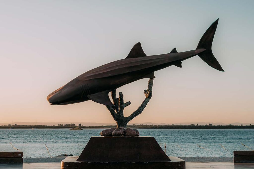 Is La Paz, Mexico Safe? 2024 Travel Safety Guide