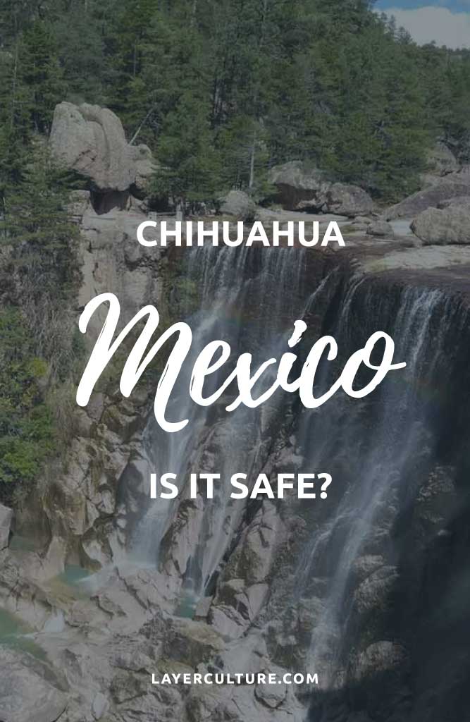 is chihuahua safe