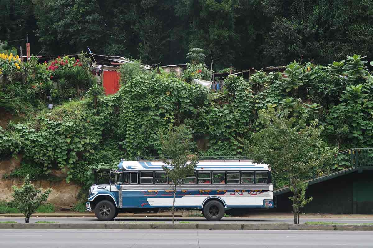 chicken bus guatemala