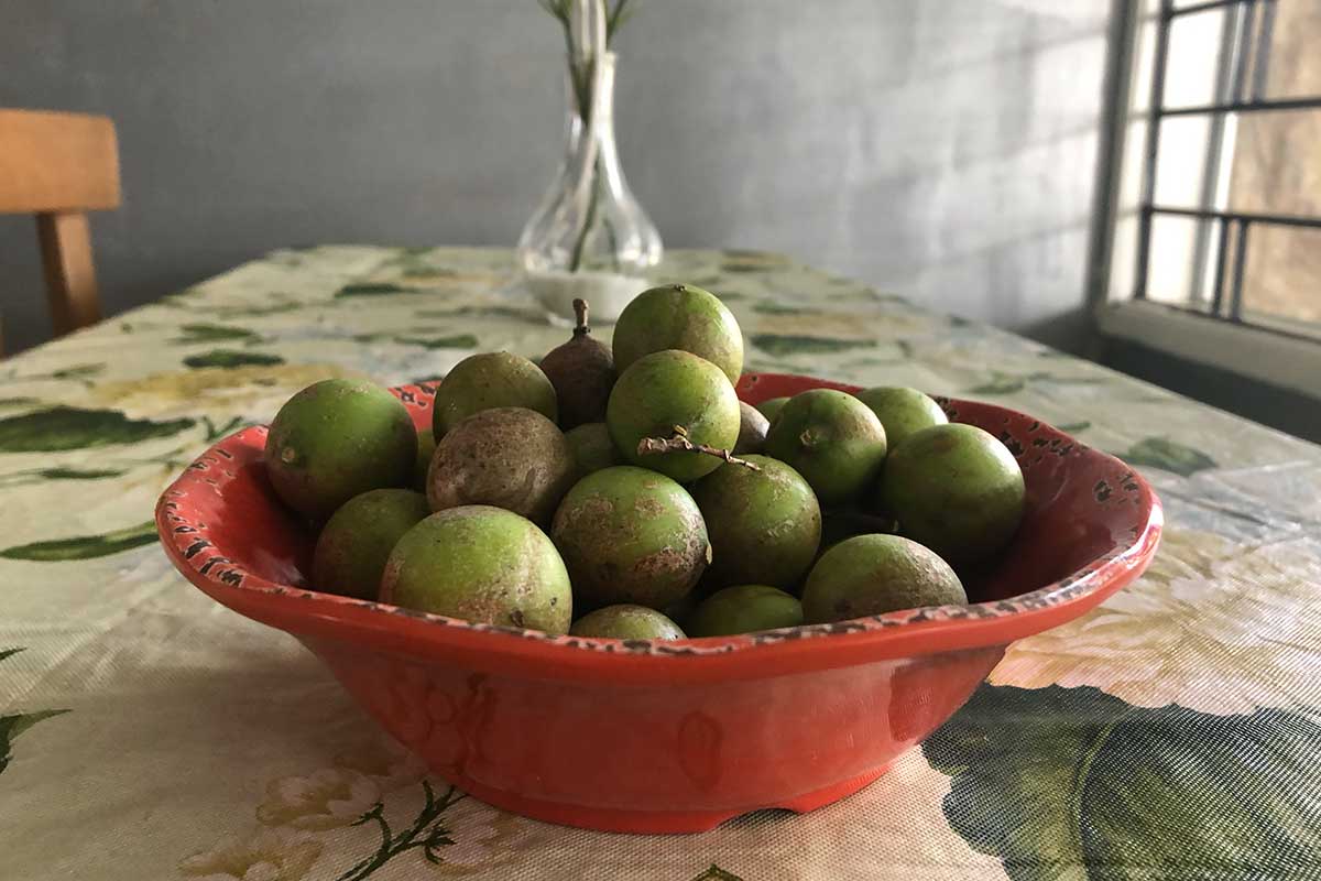 mamoncillo fruit