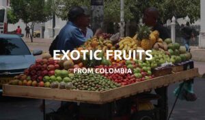 exotic colombian fruits feat