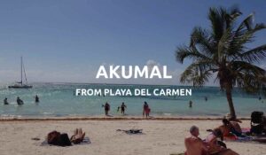 akumal from playa del carmen