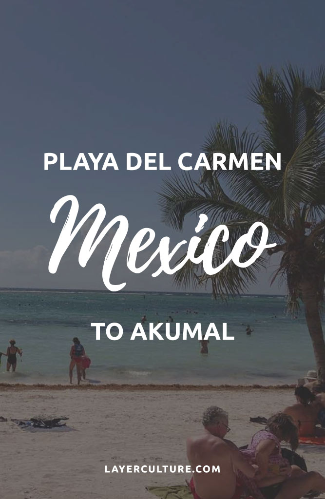 akumal from playa del carmen