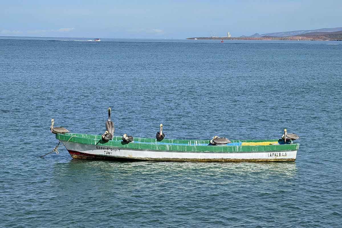 solo travel la paz mexico