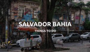 things to do salvador bahia brazil feat